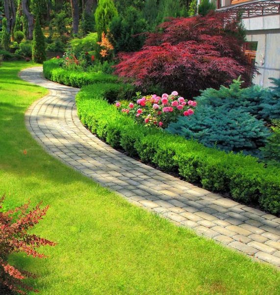 landscaping clayton Greenpath Landscaping